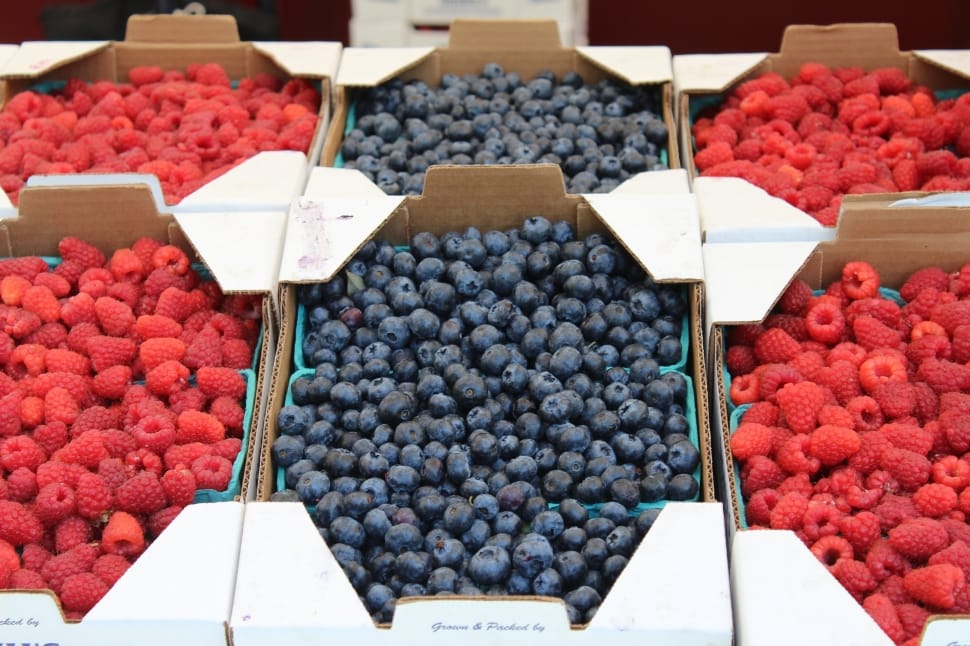 blueberry and raspberry boxes preview