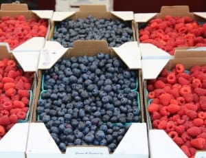 blueberry and raspberry boxes thumbnail