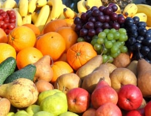 Color, Mixed, Fruit, Food, fruit, food and drink thumbnail