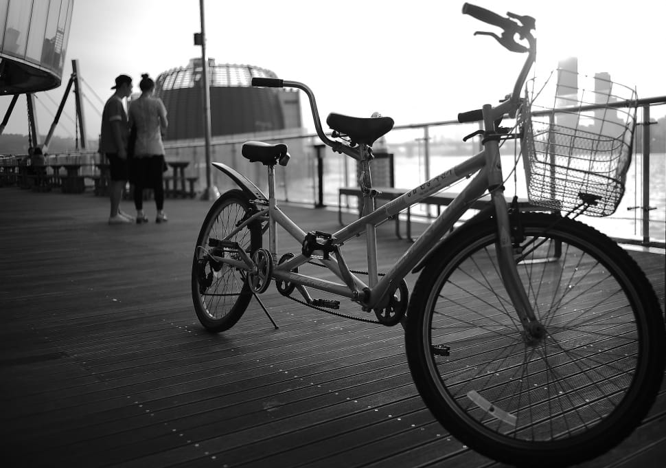 grayscale photo of tandem bicycle on dock preview