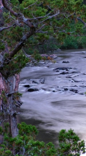 time lapse photo of river surrounded with green grass and trees thumbnail