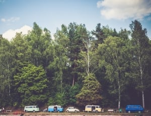 six car parked on a road surrounded by trees during day time thumbnail