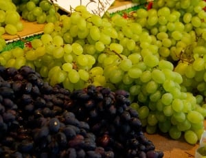 green and violet grapes thumbnail