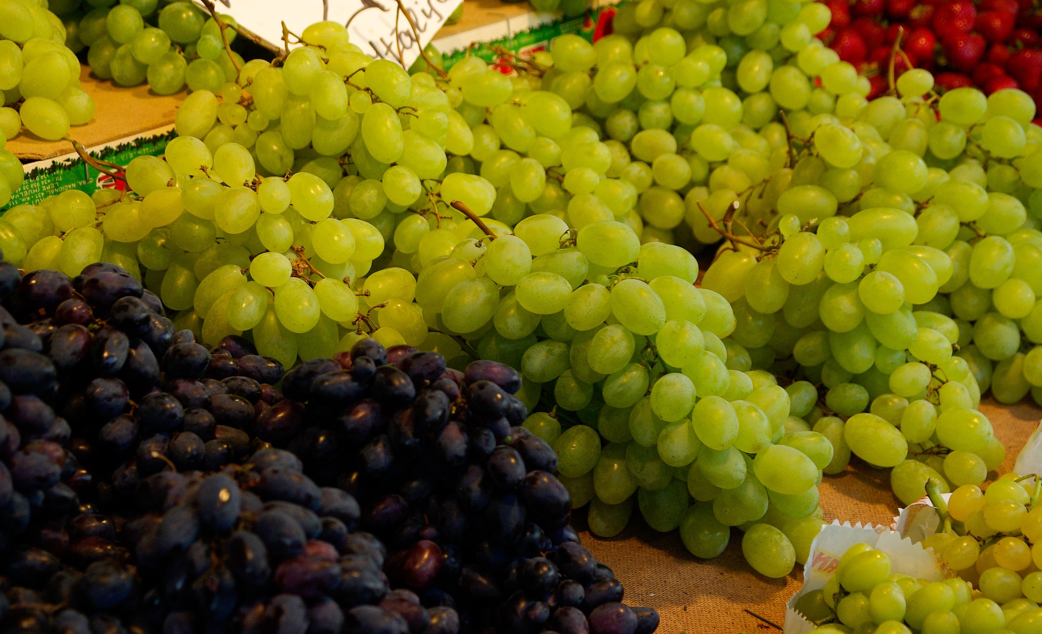 green and violet grapes