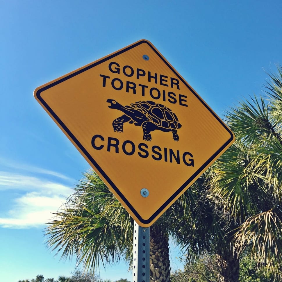 gopher tortoise crossing signage preview