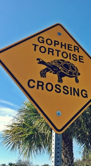 gopher tortoise crossing signage thumbnail