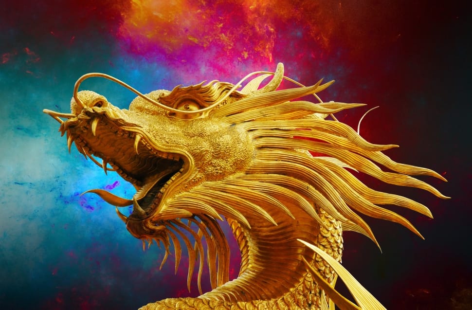 dragon illustration preview