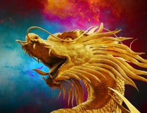 dragon illustration thumbnail