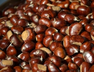 brown seeds thumbnail