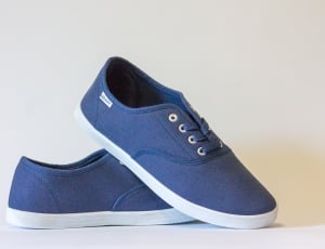 pair of blue and white low top sneakers thumbnail