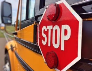 Education, School, Transportation, Bus, red, transportation thumbnail