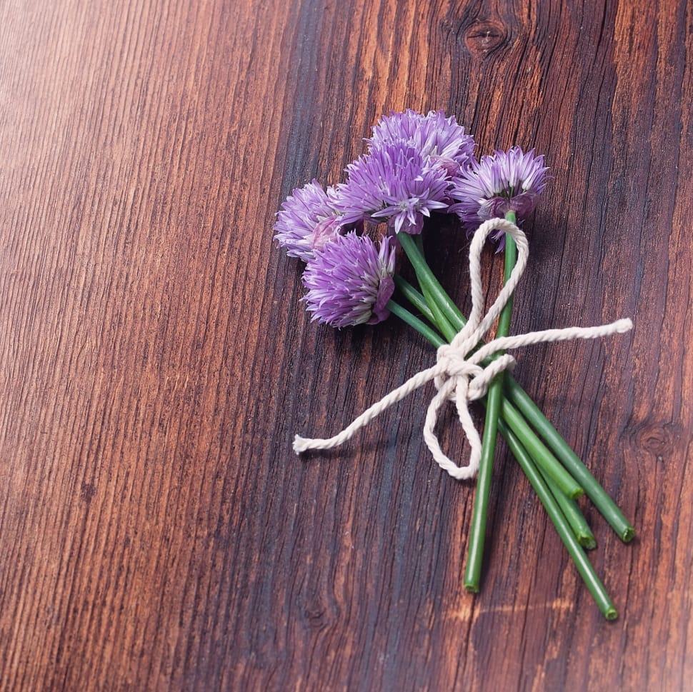 Bloom, Blossom, Chives, wood - material, flower preview