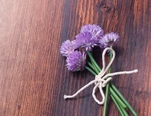 Bloom, Blossom, Chives, wood - material, flower thumbnail