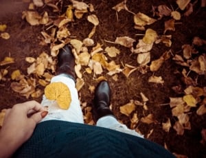 Yellow, Autumn, Leaves, Fall, Nature, low section, autumn thumbnail