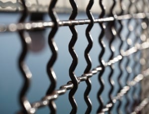black metal link chain fence thumbnail