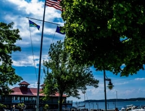 u.s.a. flag beside green tree near body of water during daytime thumbnail