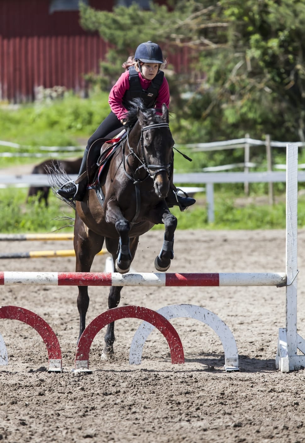 Horseback Riding, High Jump, horse, competition preview
