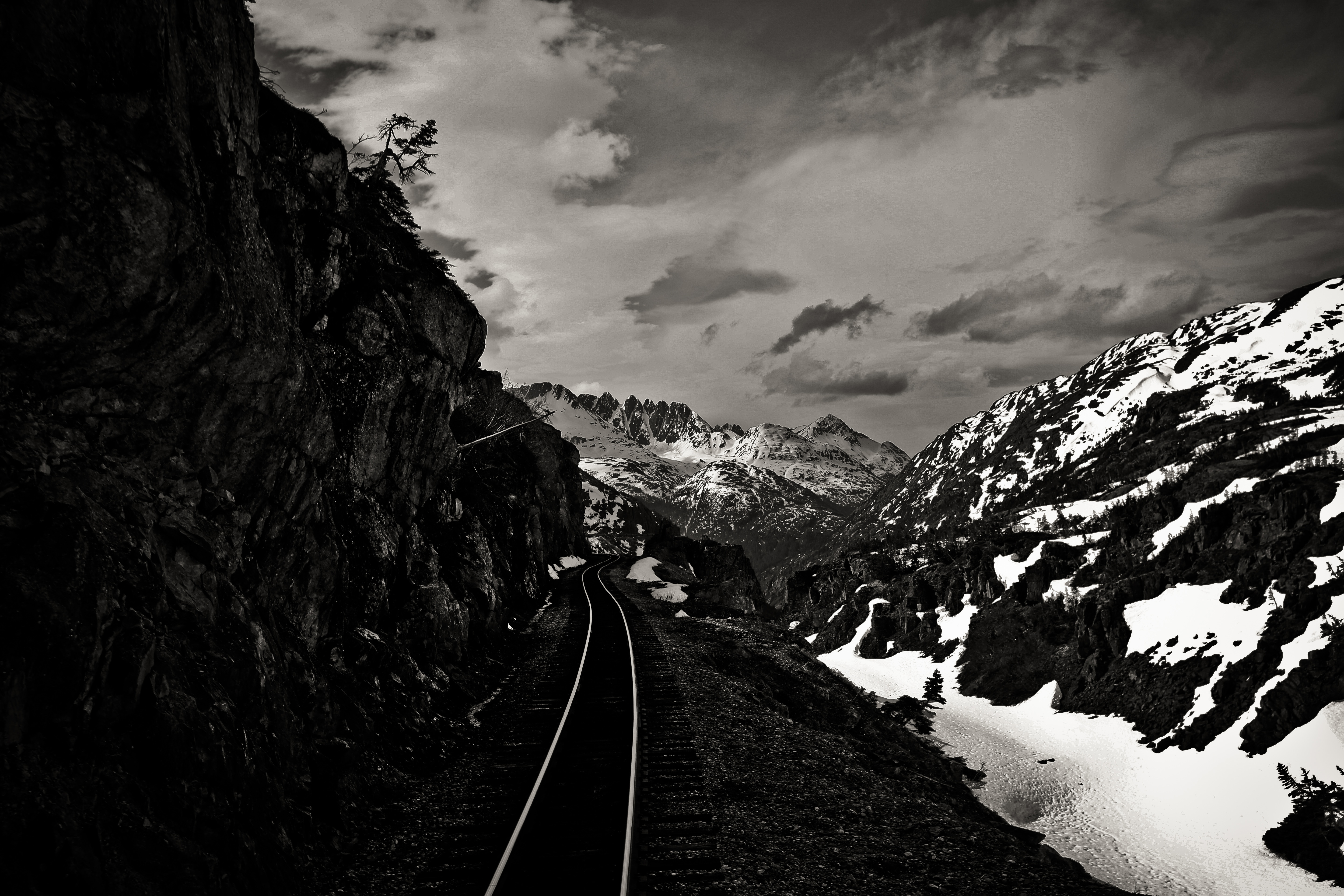 white and black train road photography