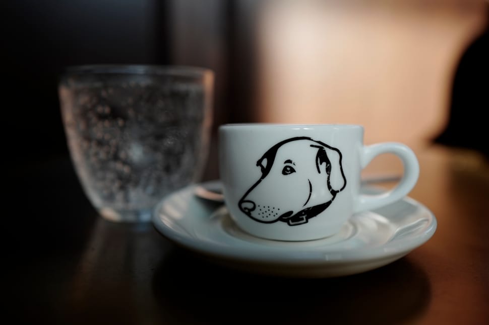 white ceramic plate and cups printed dog on top of the table preview