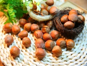 brown chestnuts on top of white knitted mat thumbnail