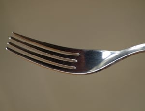 stainless steel fork thumbnail
