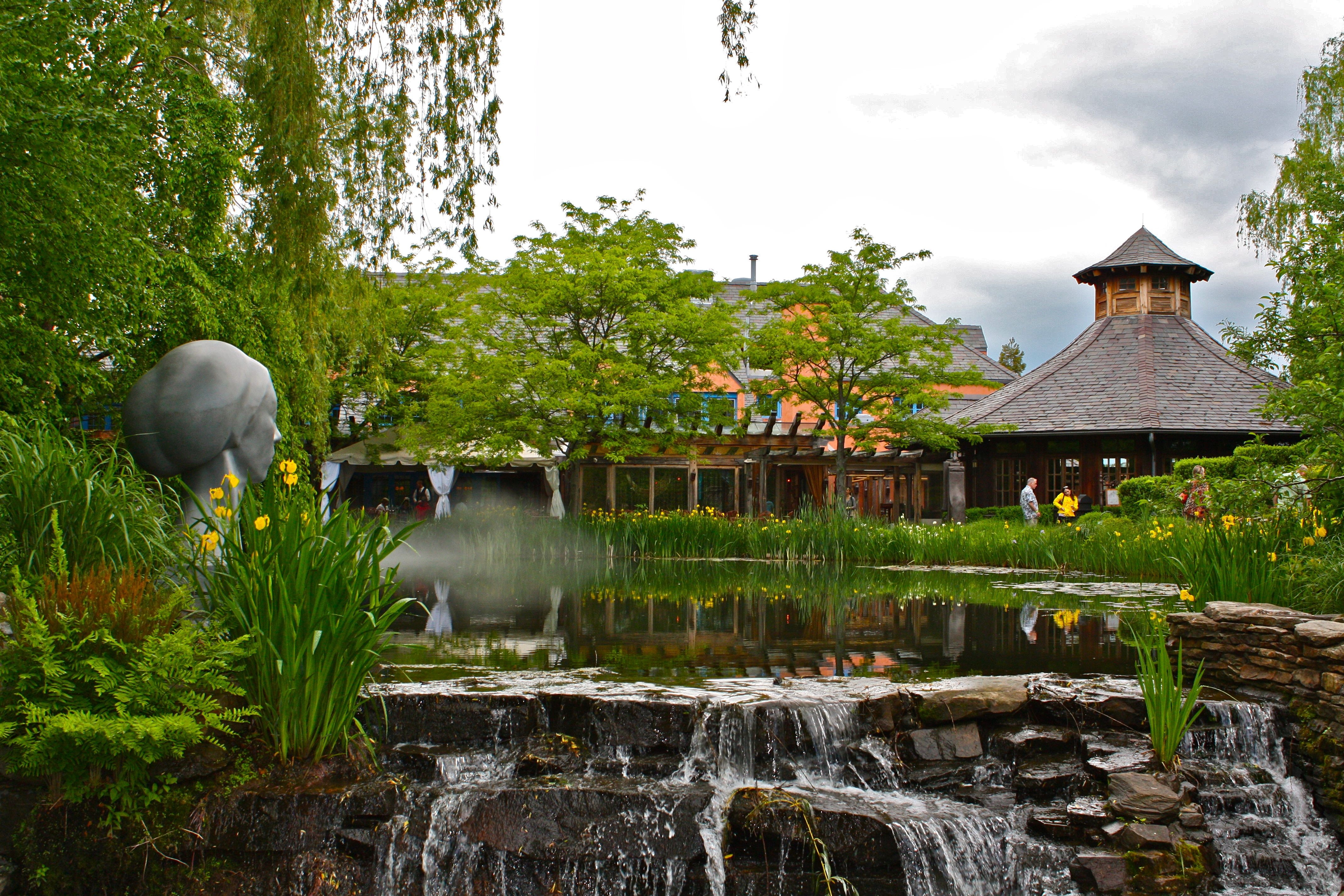 green plants with body of water