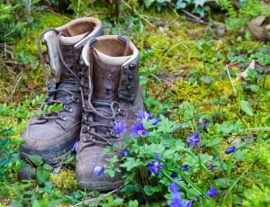 Nature, Shoes, Hike, Recovery, Hiking, shoe, pair thumbnail