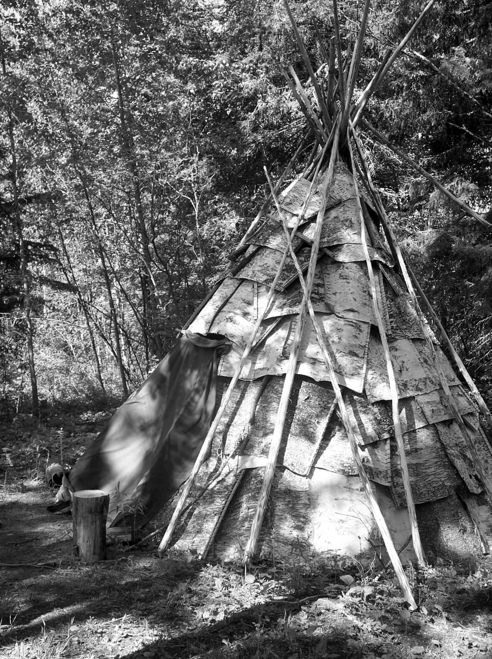 brown tipi preview