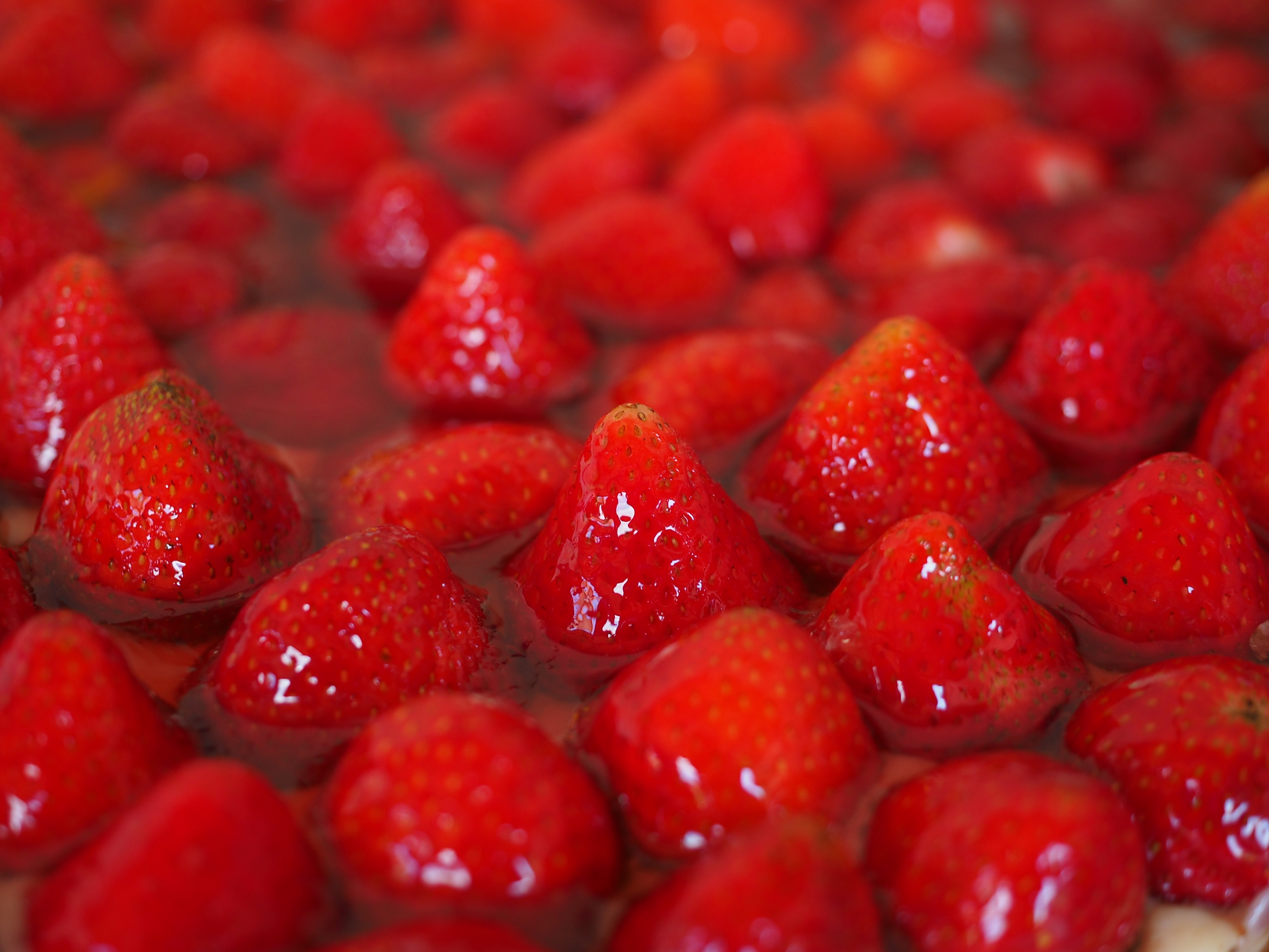 close up view image of strawberries fruits