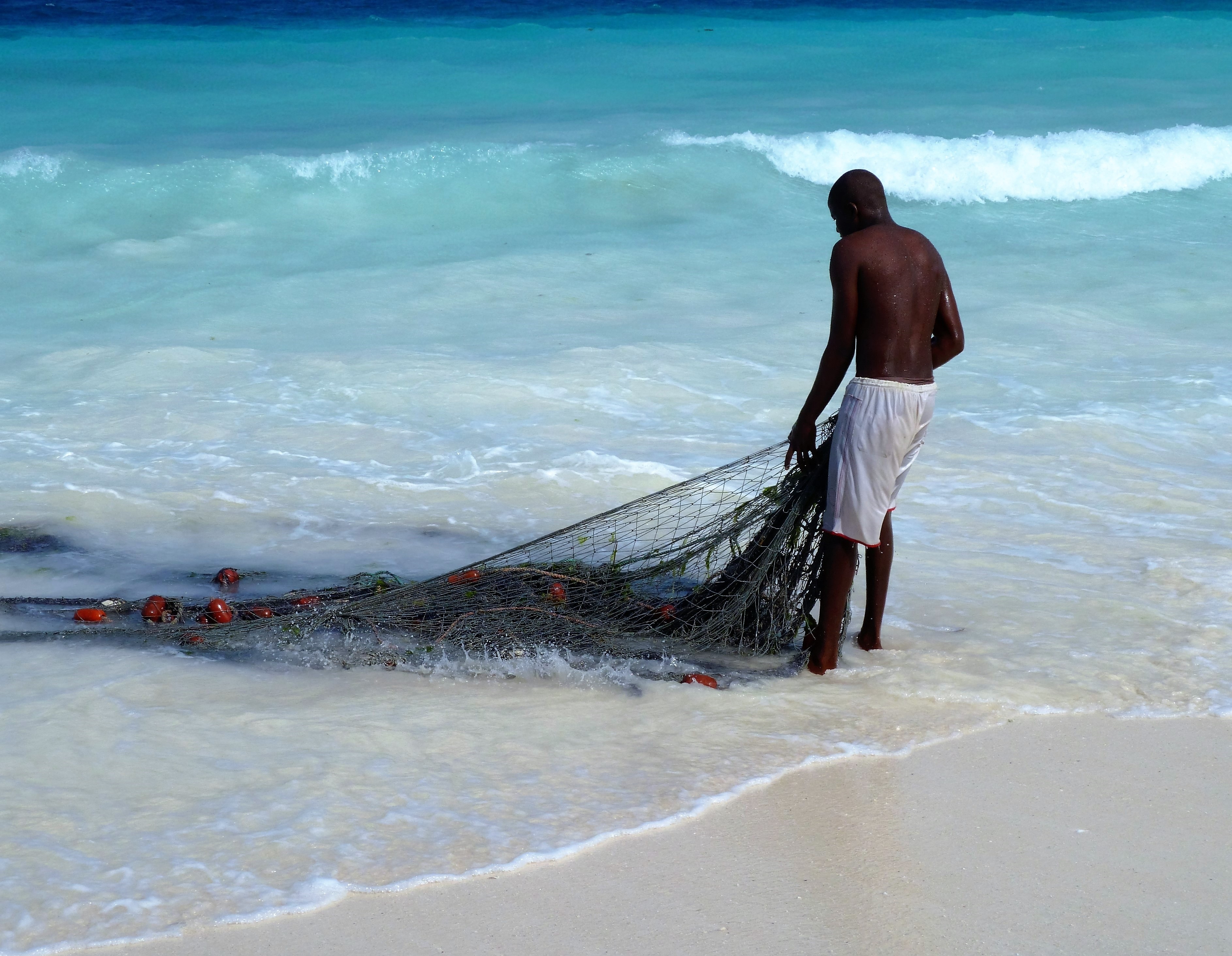 black fishing net