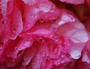 pink textile thumbnail