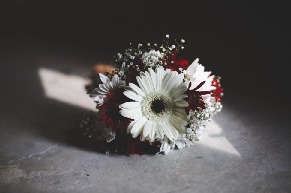 white and red flowers preview