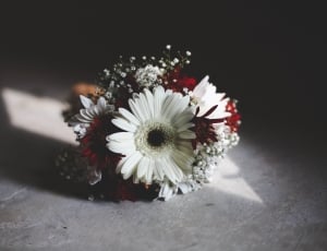 white and red flowers thumbnail