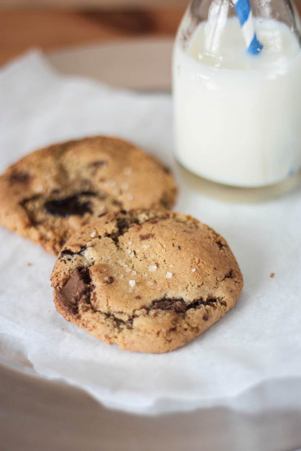 chocolate chip cookies preview