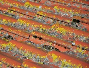 red and yellow galvanize iron sheet thumbnail