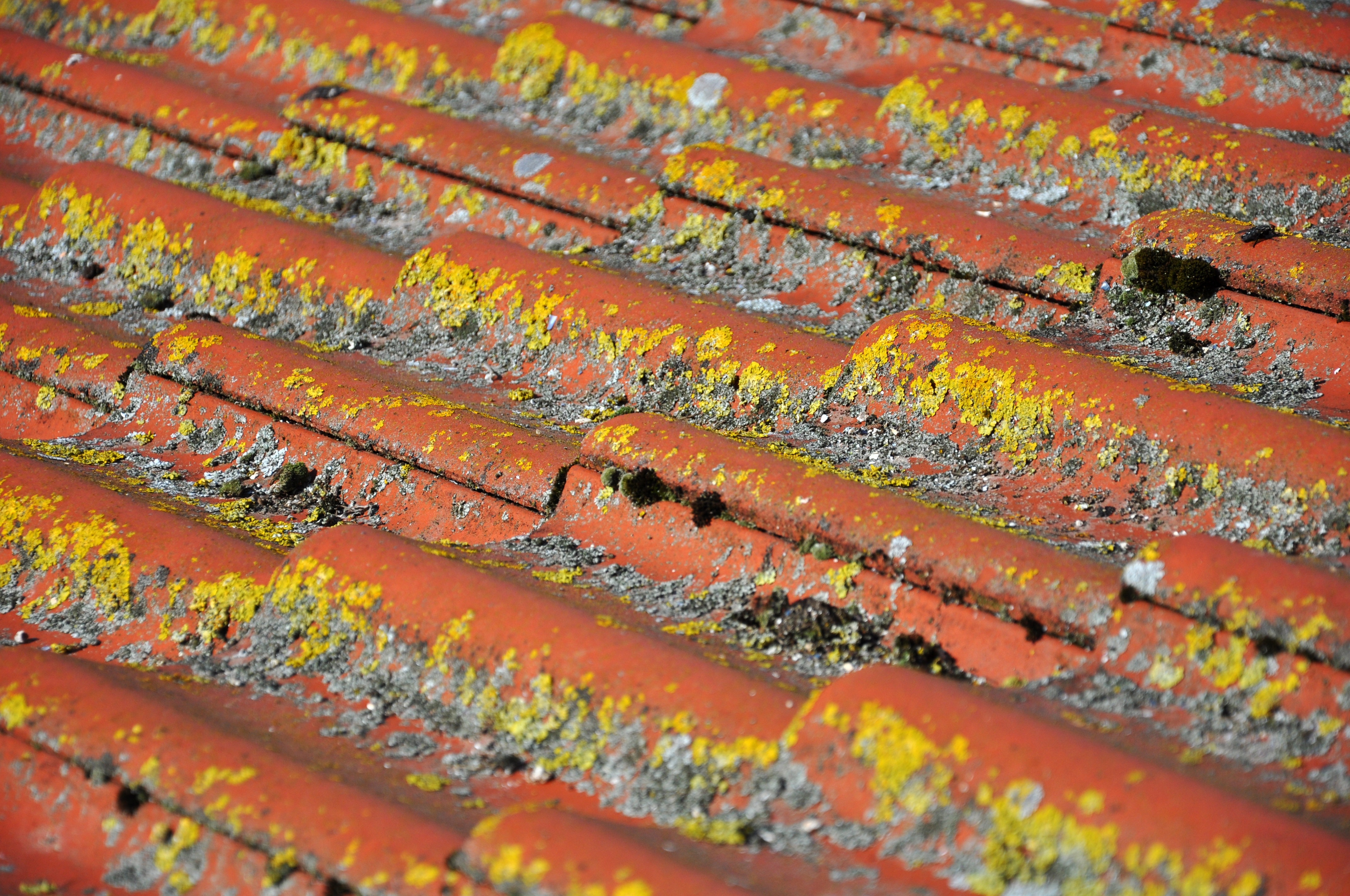 red and yellow galvanize iron sheet