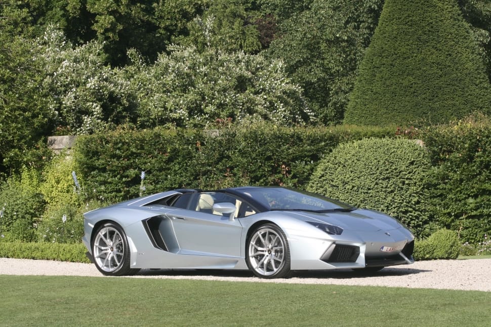 silver lamborghini aventador free image - Peakpx