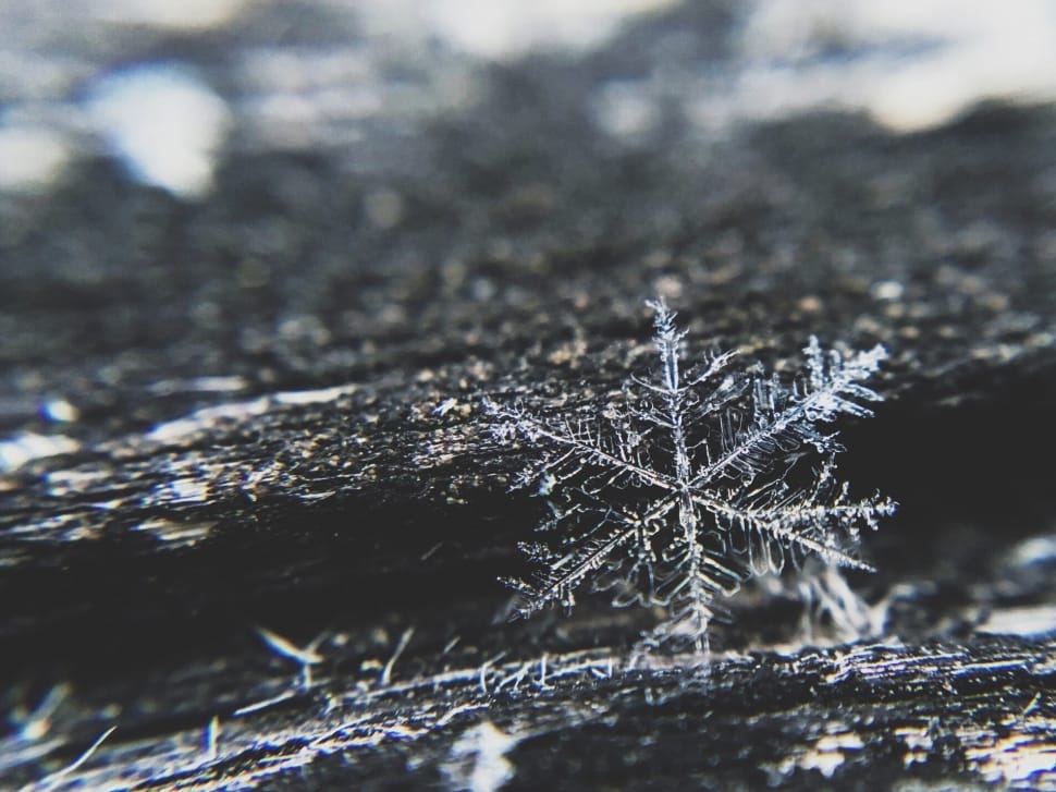snow flakes preview