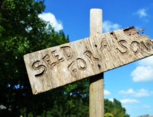 brown wooden seed for a son engraved signage thumbnail