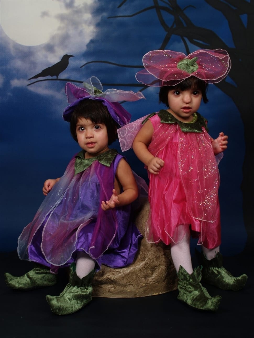 two girls in fairy costumes preview