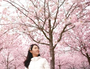 woman standing on cherry blossom tree thumbnail