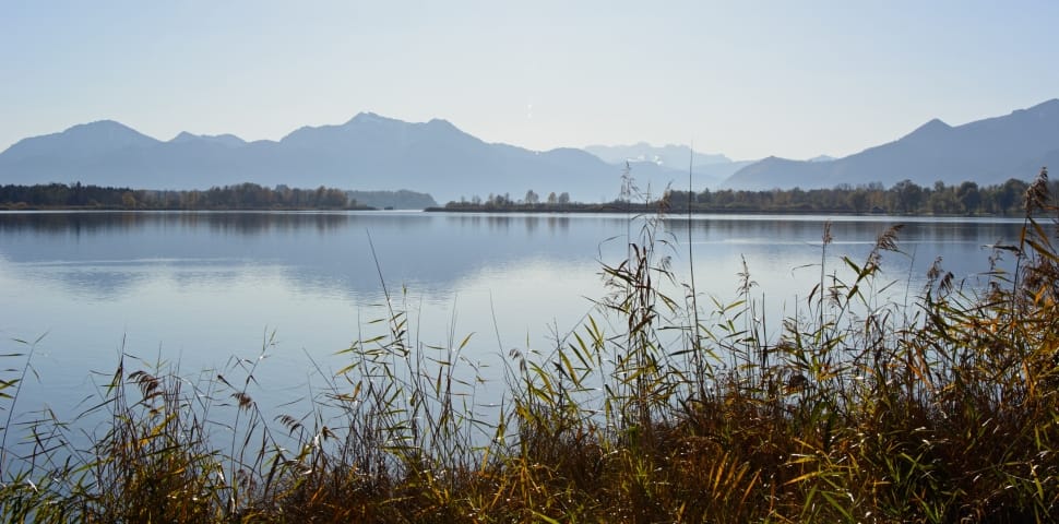 Nature, Lake, Water, Landscape, Chiemsee, reflection, lake preview