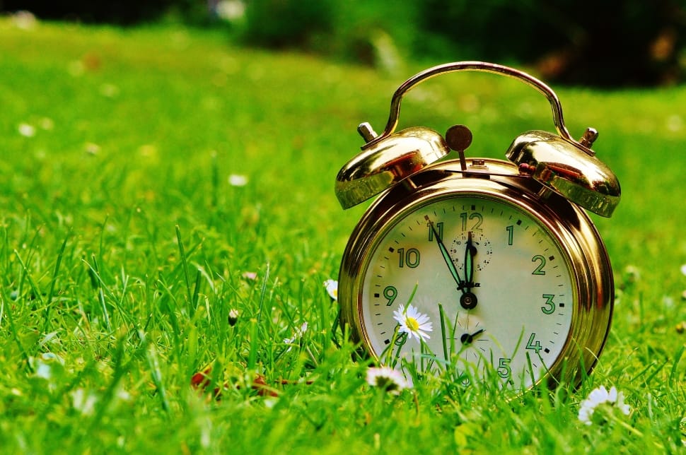 The Eleventh Hour, Disaster, Alarm Clock, grass, time preview