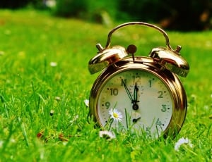 The Eleventh Hour, Disaster, Alarm Clock, grass, time thumbnail