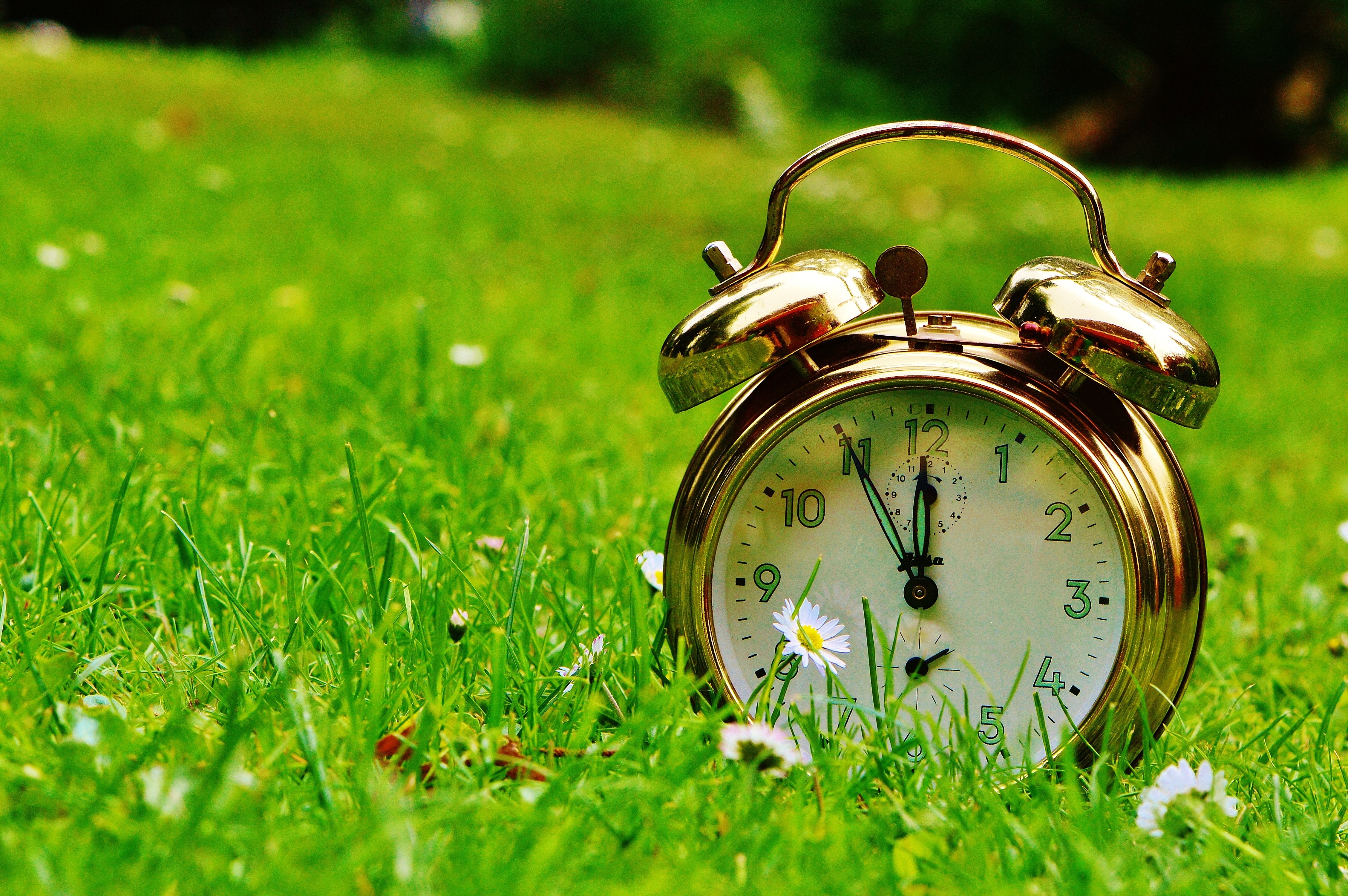 The Eleventh Hour, Disaster, Alarm Clock, grass, time