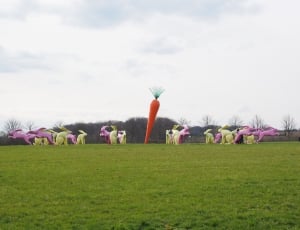 carrot and bunny inflatable decor thumbnail