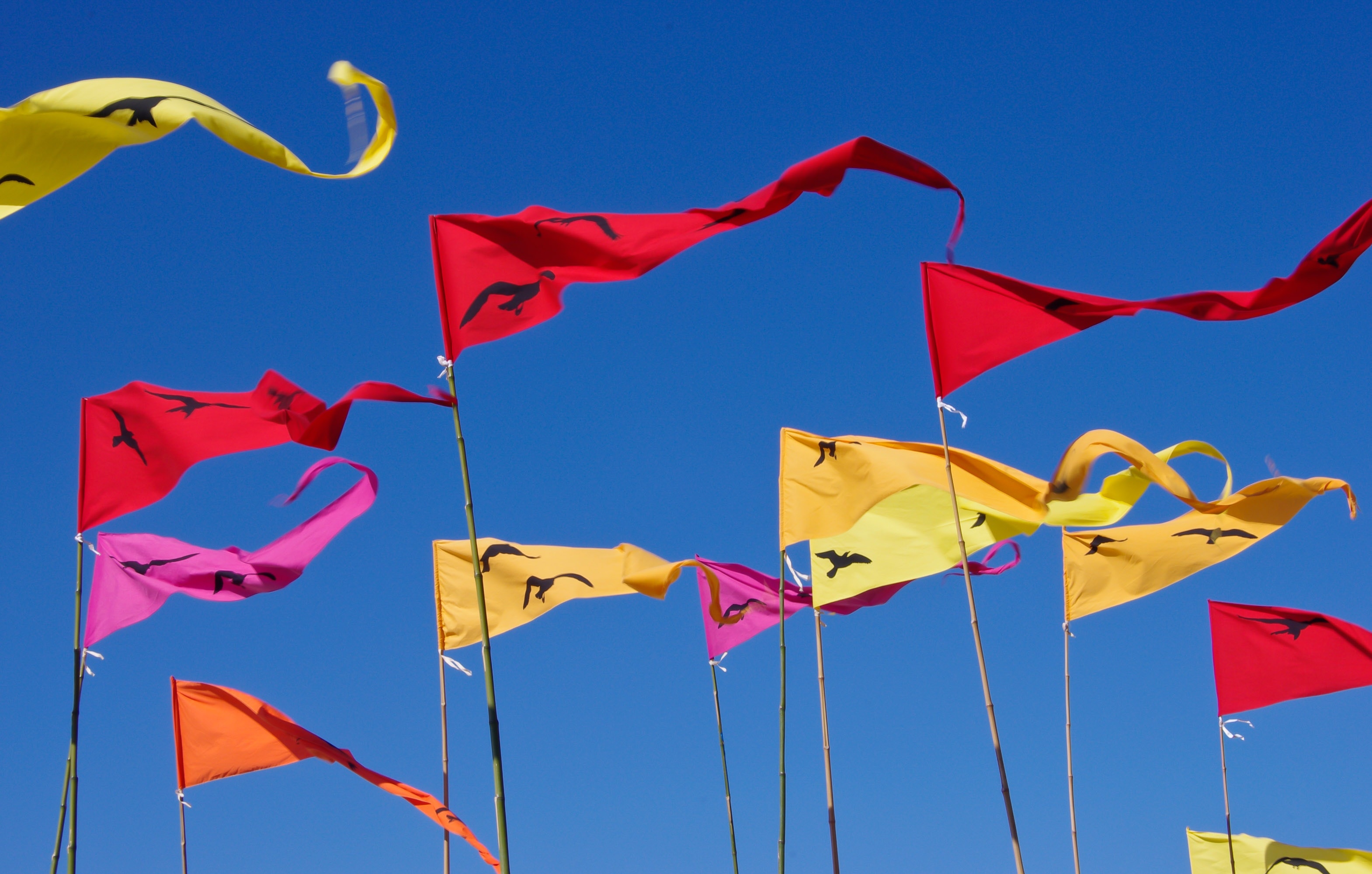 Sky, Flags, Pennants, Red, Yellow, Blue, flag, wind