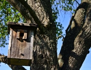 gray wooden bird house thumbnail