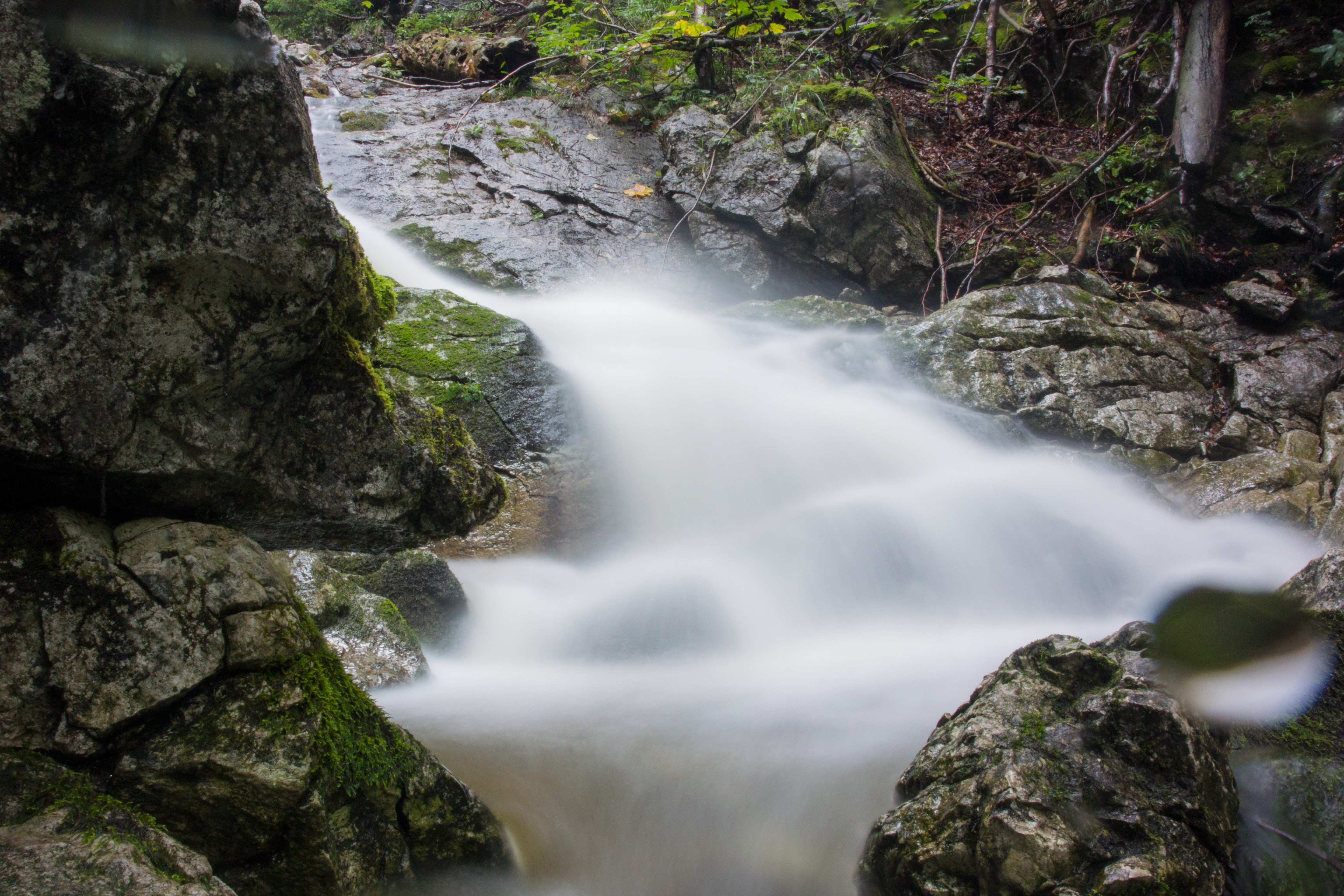 Flow, Bach, Waters, Nature, Water, waterfall, motion