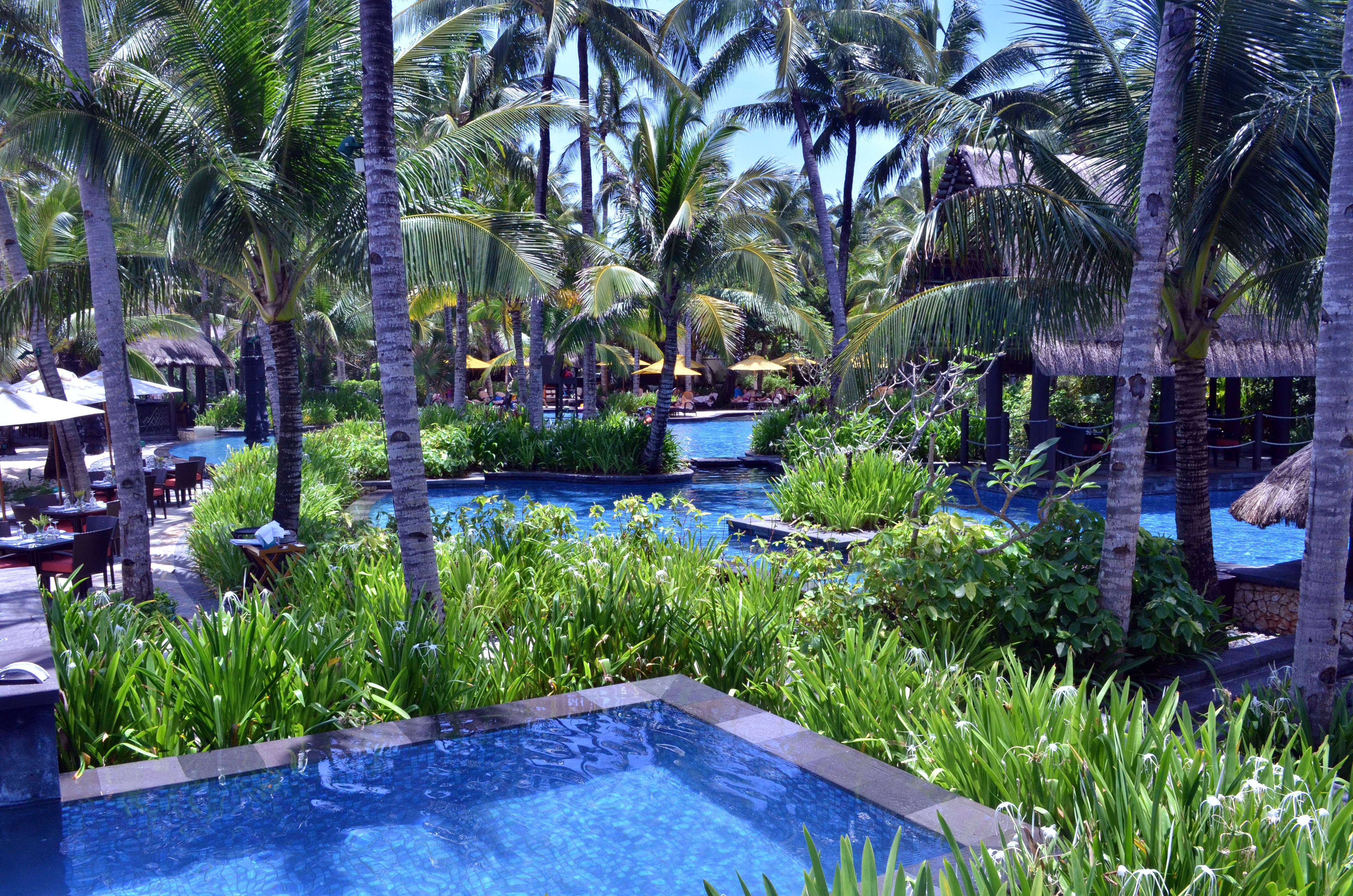 Hotel Swimming Pool, Resort Pool, palm tree, water